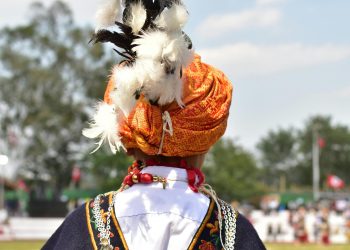 pexels-parijb-18216129